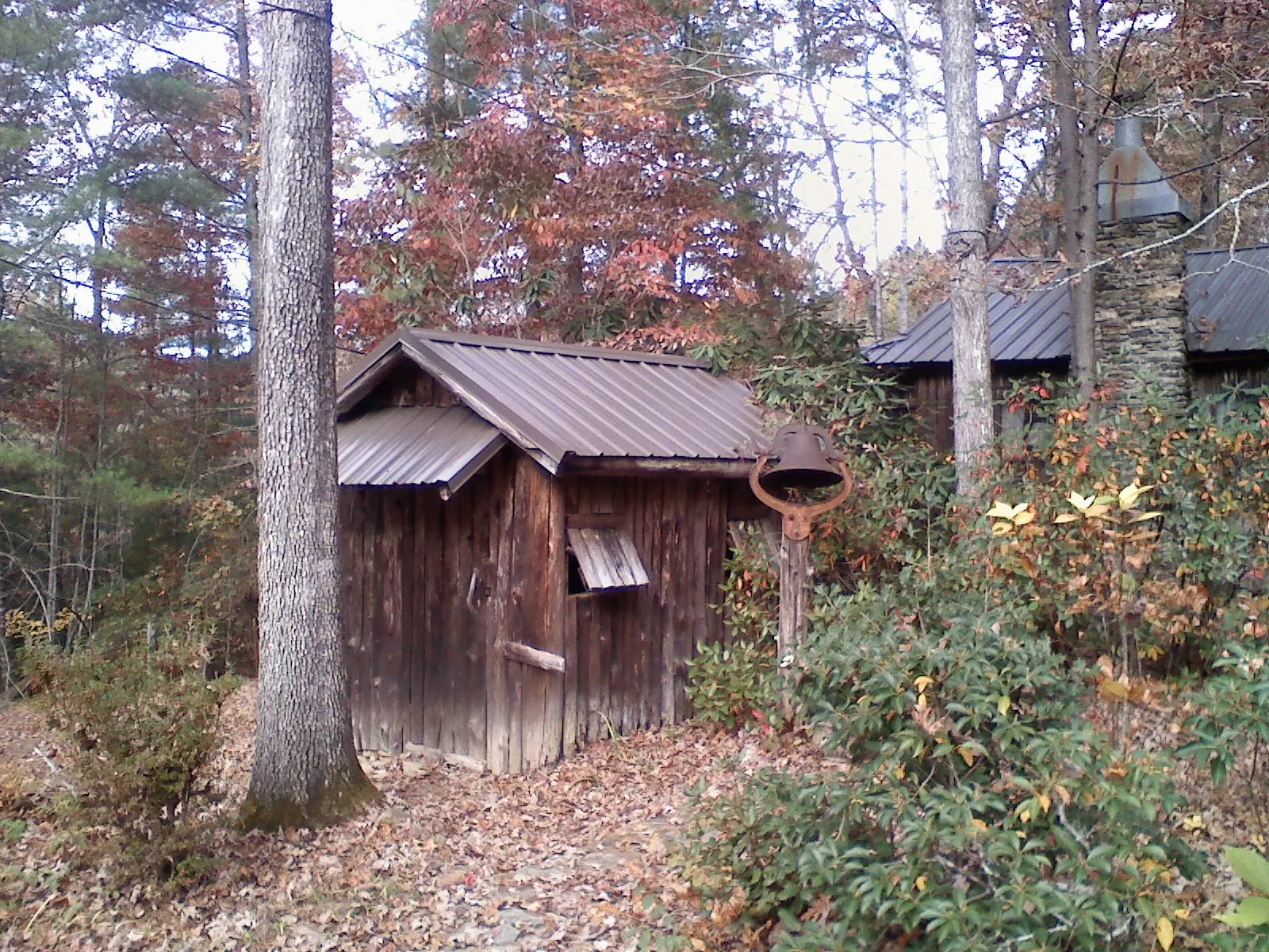 Small metal roof on a rough sawn shed in the woods in Williamsport